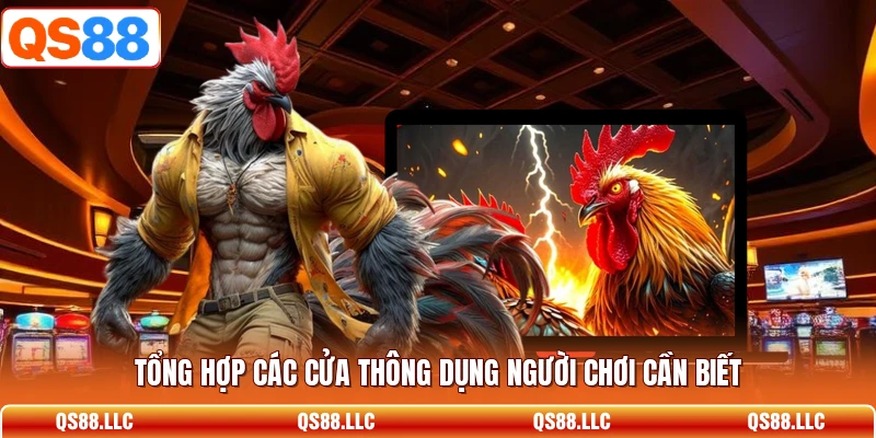 Tổng hợp các cửa thông dụng người chơi cần biết 